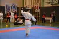 Karate Landesmeisterschaft in Herzogenburg